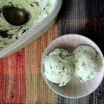 Homemade Mint Chocolate Chip Ice Cream
