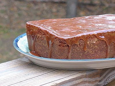 A close up photo of apple cider pound cake with caramel glaze resting on a plate.