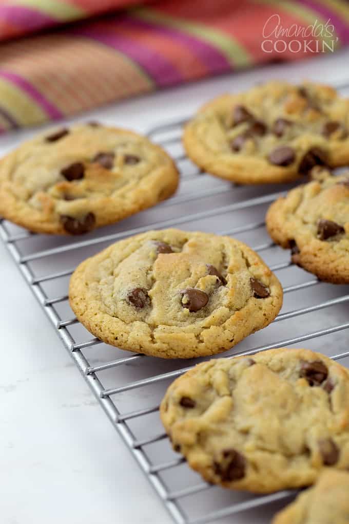 Perfectly soft and chewy cinnamon chocolate chip cookies!