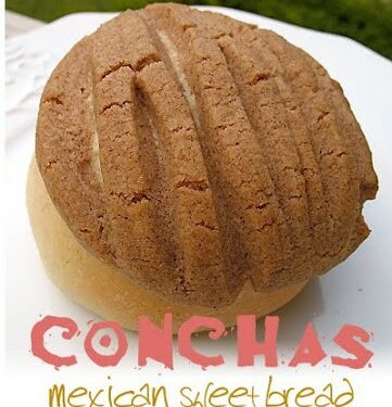 Conchas Mexican Concha Bread Bakery Pan Sweet Mexico