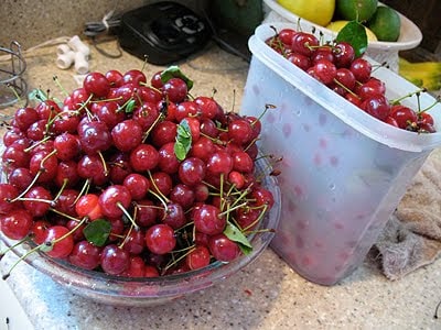 fresh sour cherries