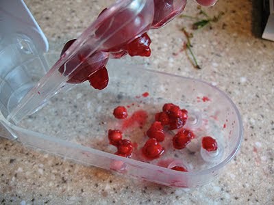 demonstrate cherry pitter