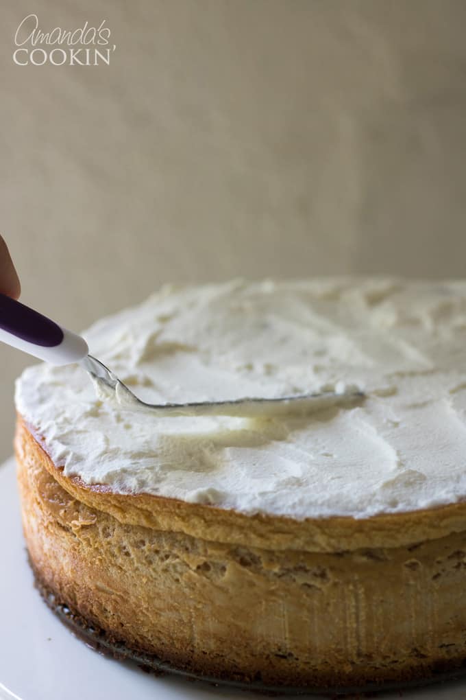 How to make tiramisu cheesecake: step 14