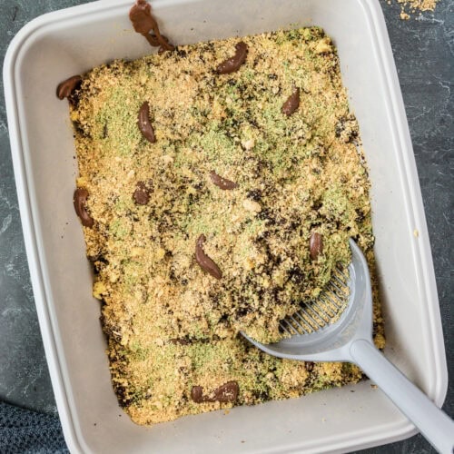 Kitty Litter Cake with a litter scoop in it