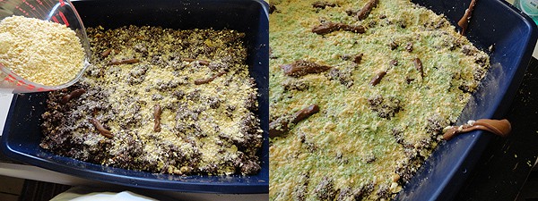 Kitty Litter Cake - gross Halloween party food