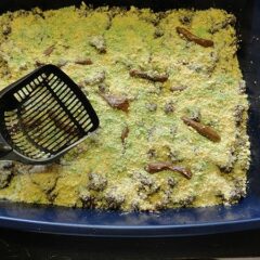 An overhead photo of a kitty litter cake.