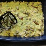 Kitty Litter Cake - gross Halloween party food