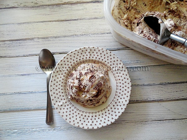 An overhead photo Nutella swirl cheesecake ice cream on a plate served with a spoon.