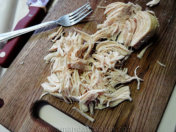 shredded chicken