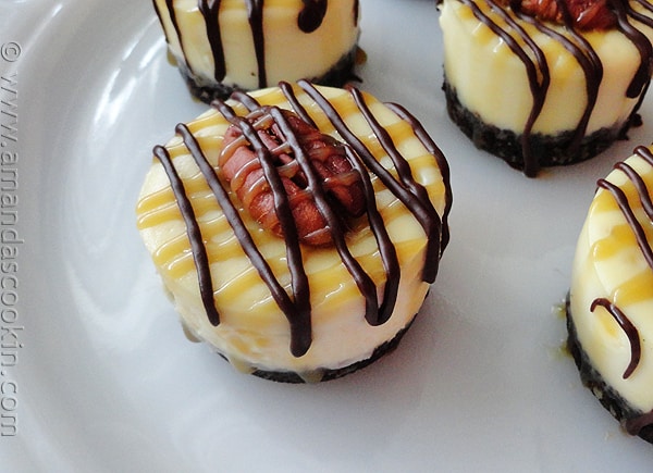 A close up photo of mini turtle cheesecakes.