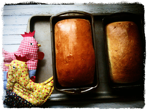 1963 Homemade White Bread Vintage Bread Recipe   1963bread Framed 