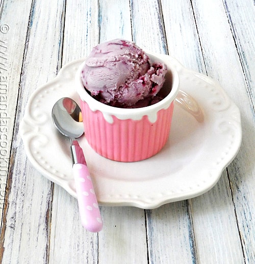 Villaware ice cream online maker