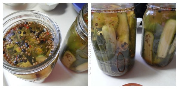 Passos de Hermetismo de Claussen Pickles Copycat da AmandasCookin.com