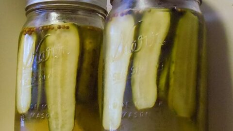 How to make Claussen pickles at home