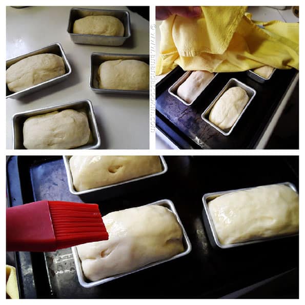 Amish White Bread Mini Loaves - AmandasCookin.com