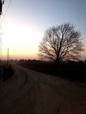 Brining a Turkey - Amanda's Cookin' - Chicken & Poultry