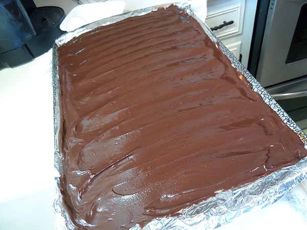 A photo of no bake peanut butter pudding bars in a pan.