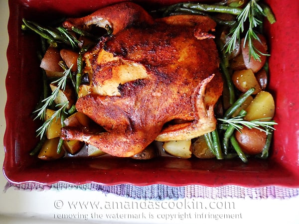 An overhead photo of a whole roasted chicken over vegetables in a roasting pan.