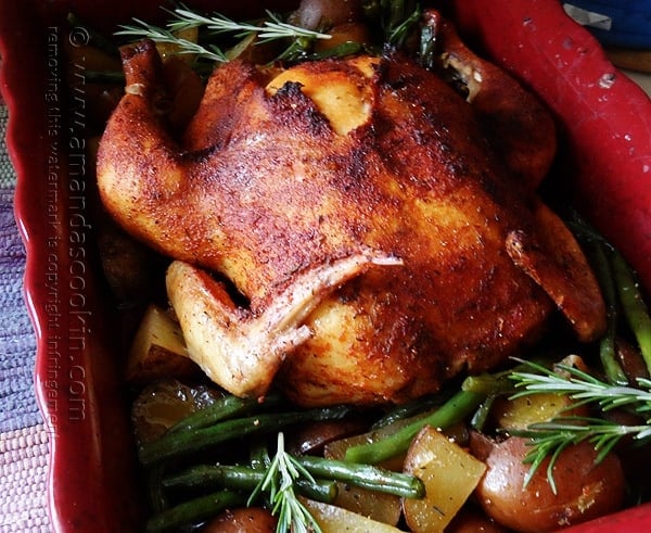 A close up photo of a whole roasted chicken over vegetables in a roasting pan.