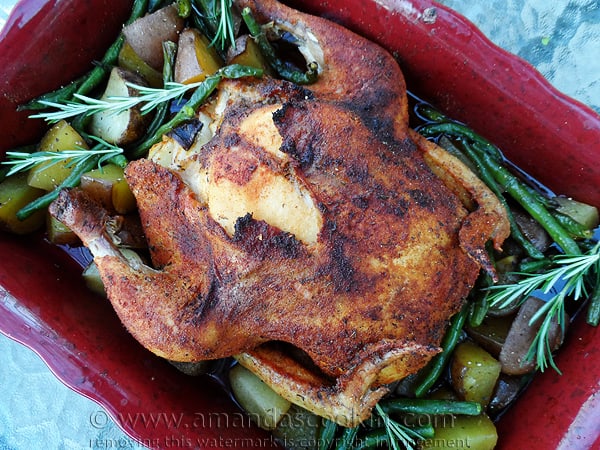 A close up photo of a whole roasted chicken over vegetables in a roasting pan.