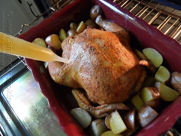 A photo of a raw chicken covered in spice mixture over vegetables in a roasting pan.