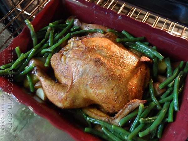 A whole roasted chicken over vegetables in a roasting pan.