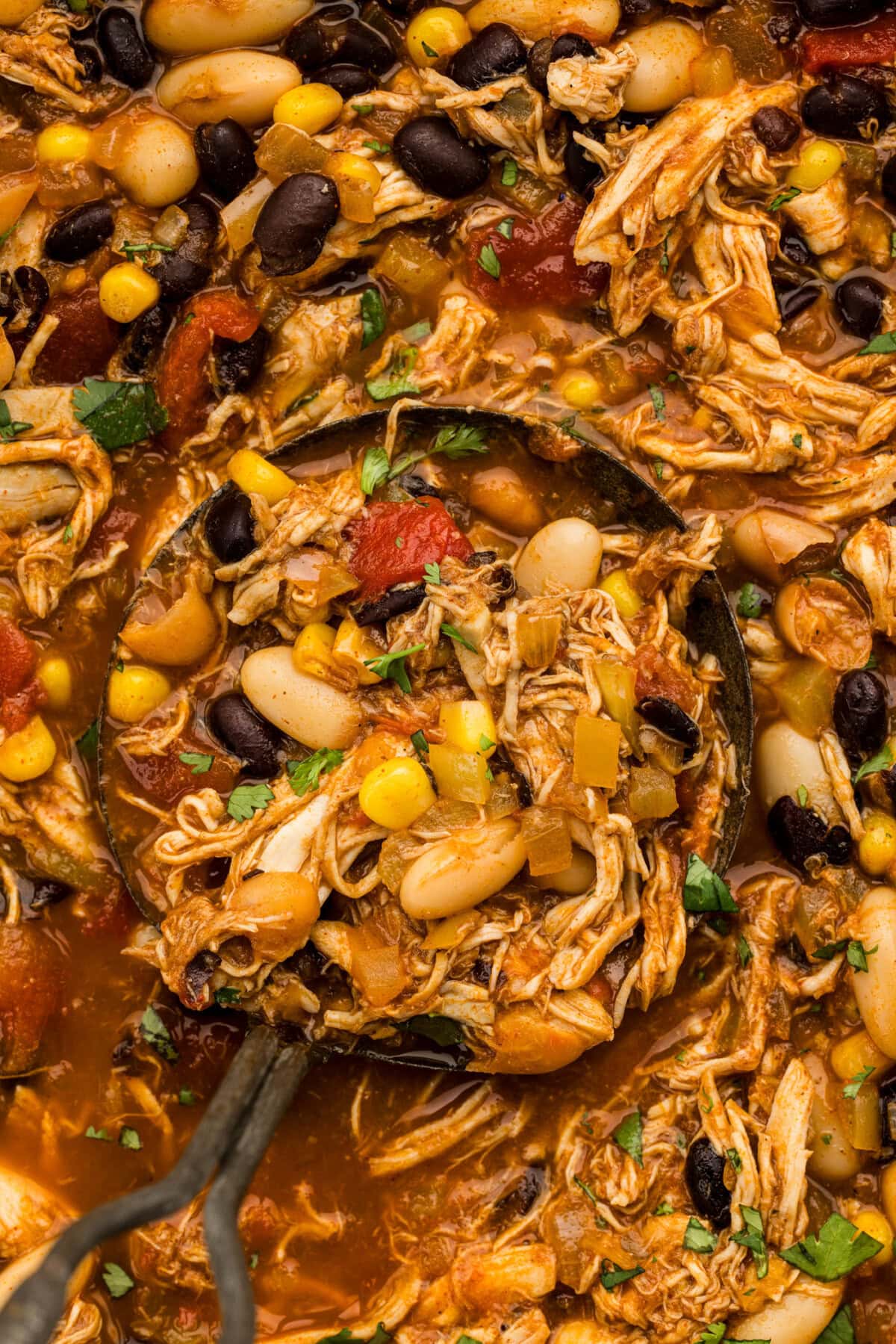 Close up of a ladle lifting shredded chicken, black beans, white beans and corn out of a pot of chili