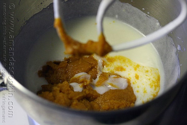 A close up photo of pumpkin being added to the yogurt mixture.