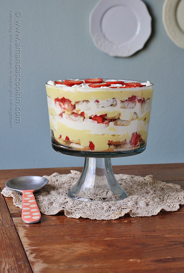 side view of English trifle dessert
