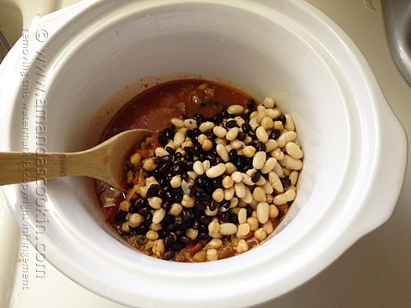 Add drained beans to salsa mixture in the crock pot