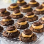batch of buckeye brownie cookies on a wire rack