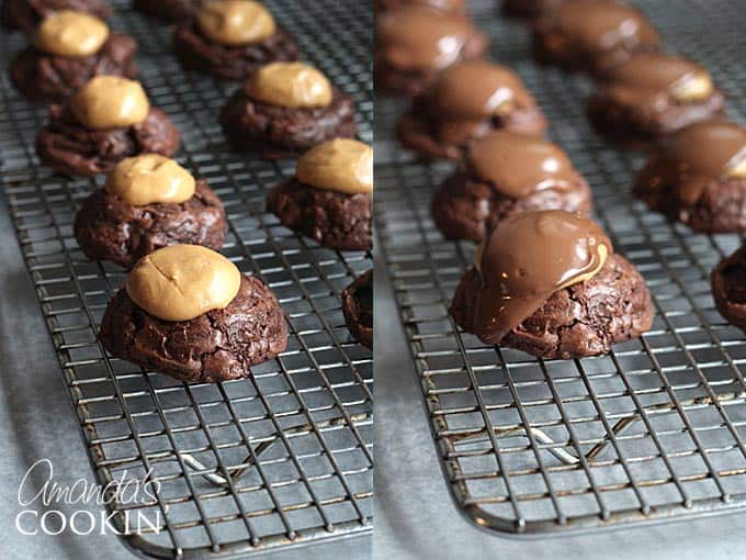 A photo of buckeye brownie cookies resting on a wire cooling rack.