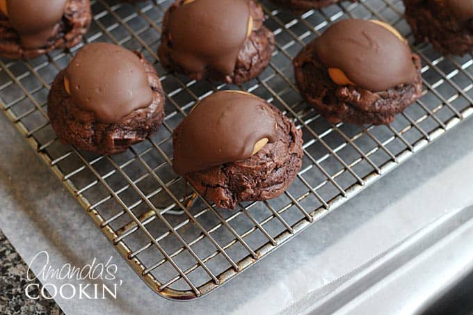 A close up photo of a buckeye brownie cookies on a cooling rack.