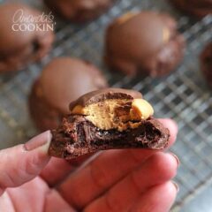 A close up photo of a hand holding a half eaten buckeye brownie.