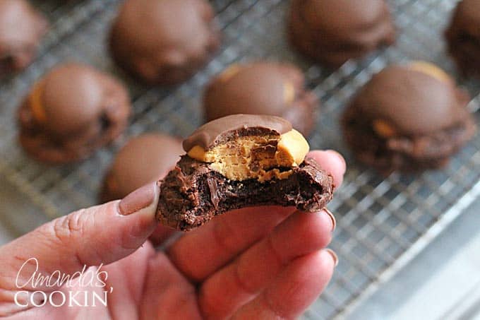 A close up photo of a hand holding a half eaten buckeye brownie.