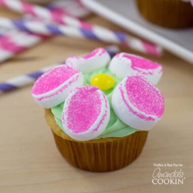 A close up of a marshmallow flower cupcake.