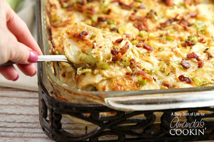 A close up of a spoonful of potatoes au gratin with bacon and leeks.