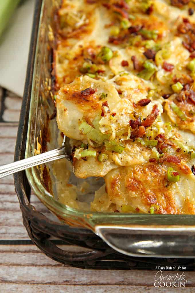 A close up of a spoonful of potatoes au gratin with bacon and leeks.