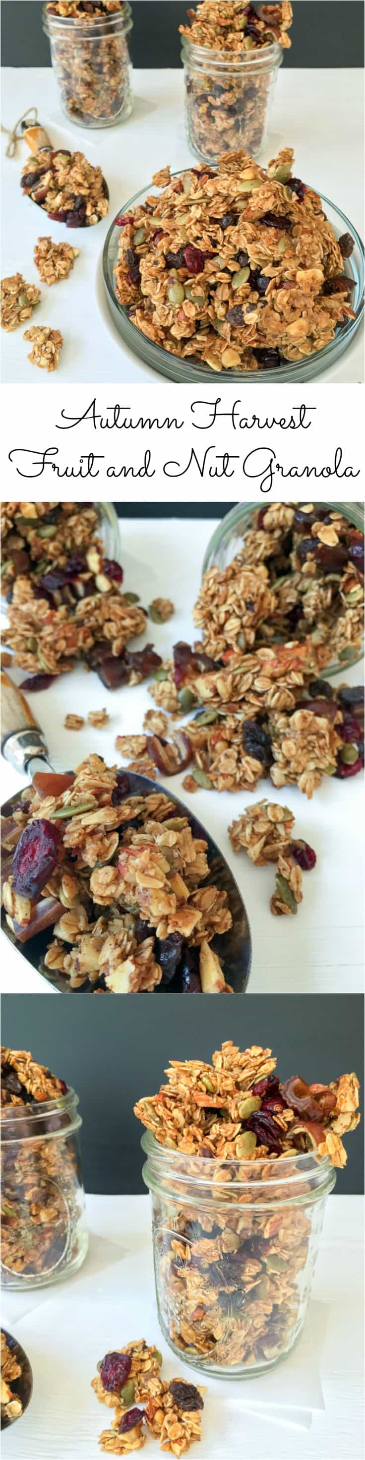 A close up photo of autumn harvest fruit and nut granola.