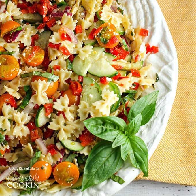 close up of pasta salad on white plate