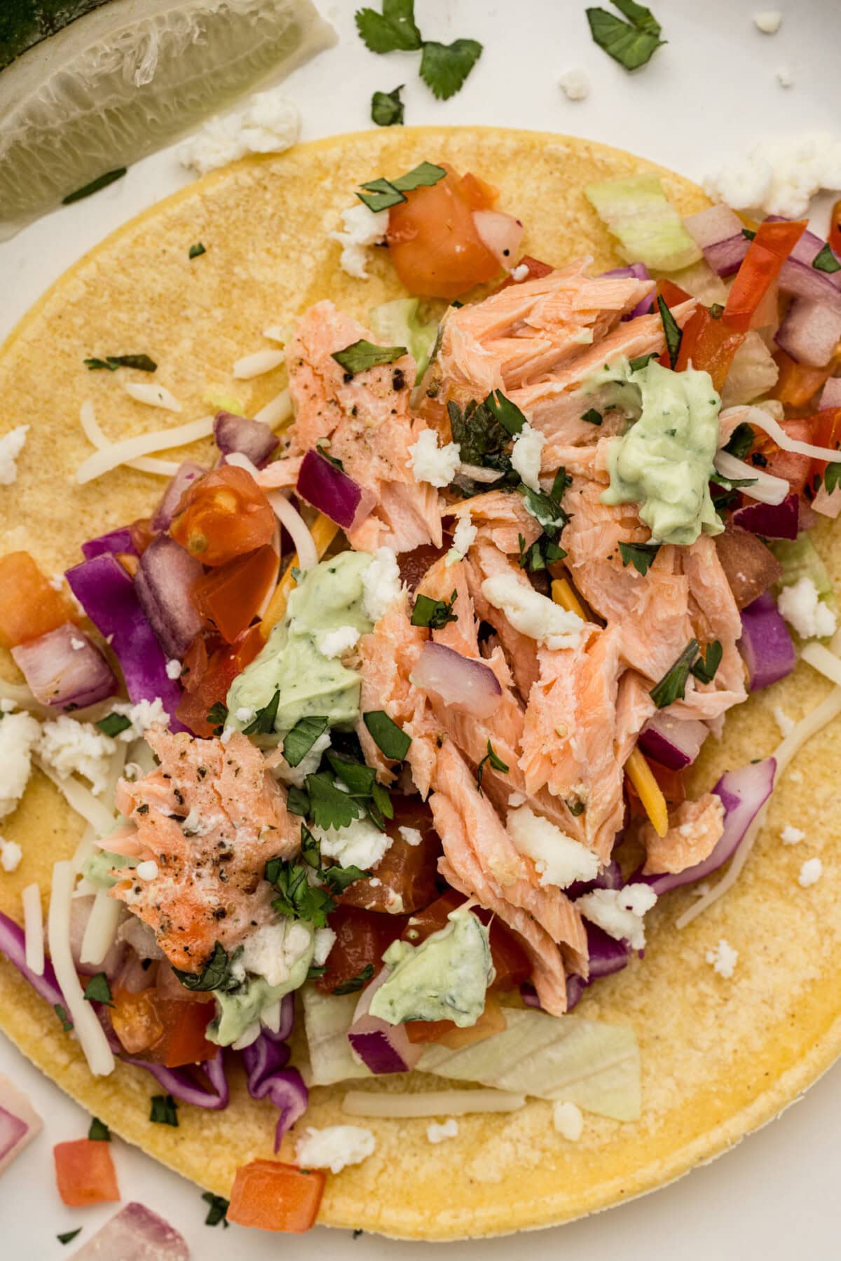 close up of a Salmon Taco with toppings