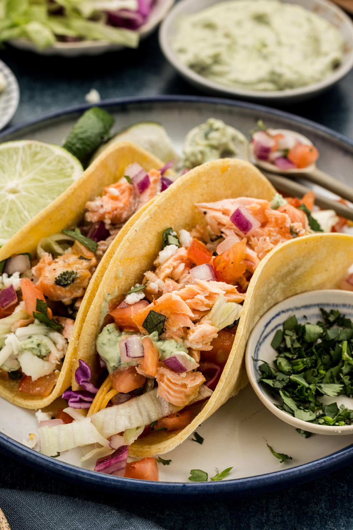 Salmon Tacos on a plate
