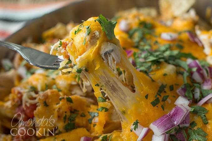 A close up of a forkful of chicken nachos with a long cheese pull. 