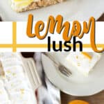 lemon lush pin image