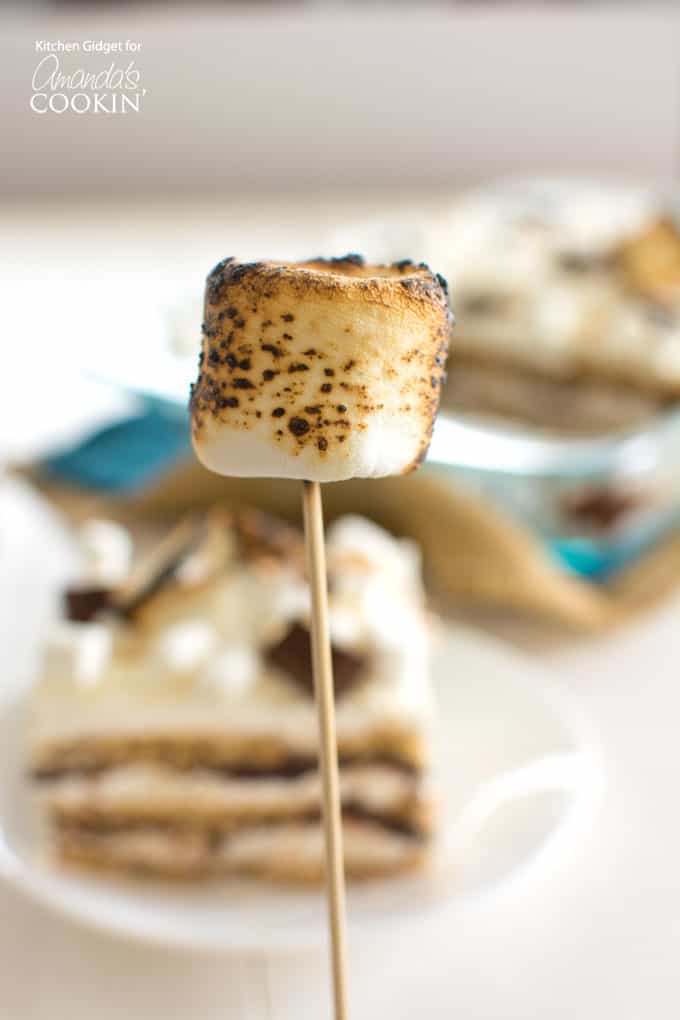 roasted marshmallow on a stick