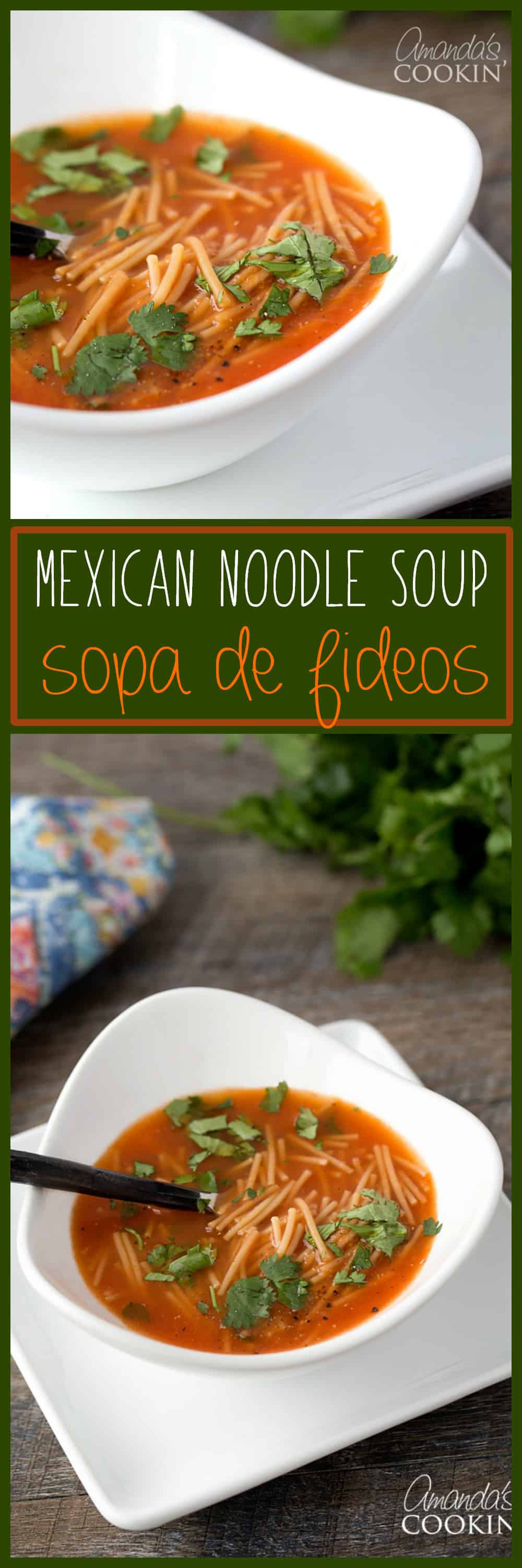 Mexican Noodle Soup, Sopa de Fideos: a flavorful cup of soup!