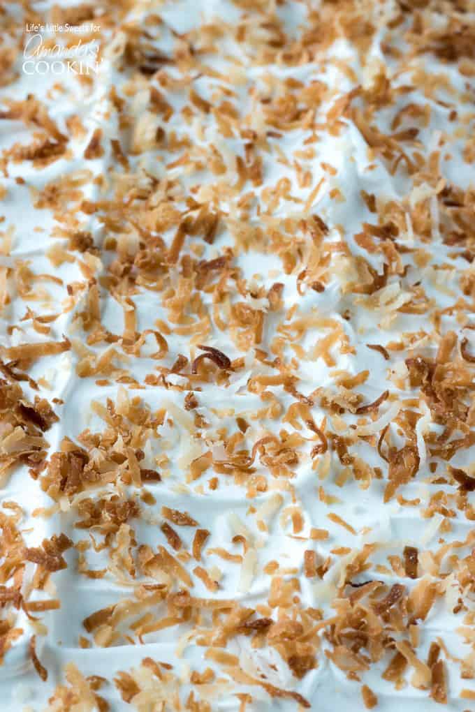 Coconut cream lush with coconut shavings close up