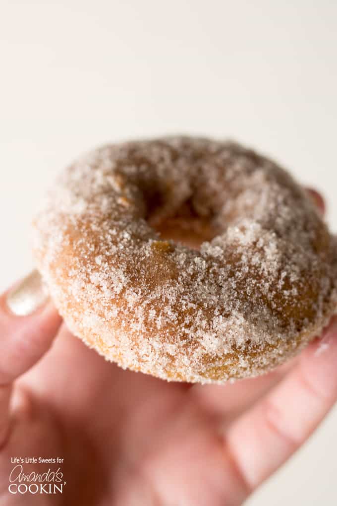 pumpkin spice donut in hand