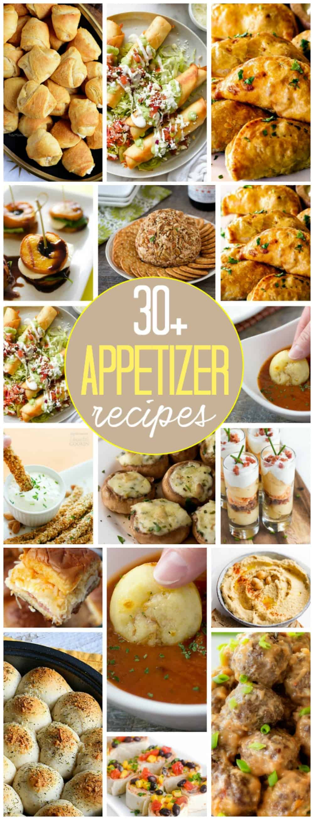 pinterest image that says 30+ appetizer recipes
