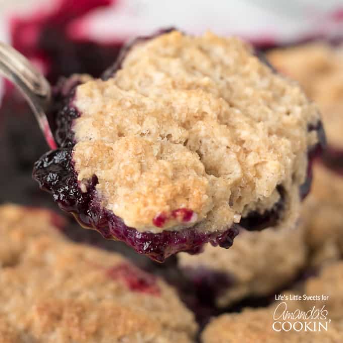 Blueberry Cobbler spoonful